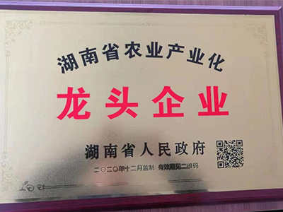 2020年新增湖南省龙头企业认证通